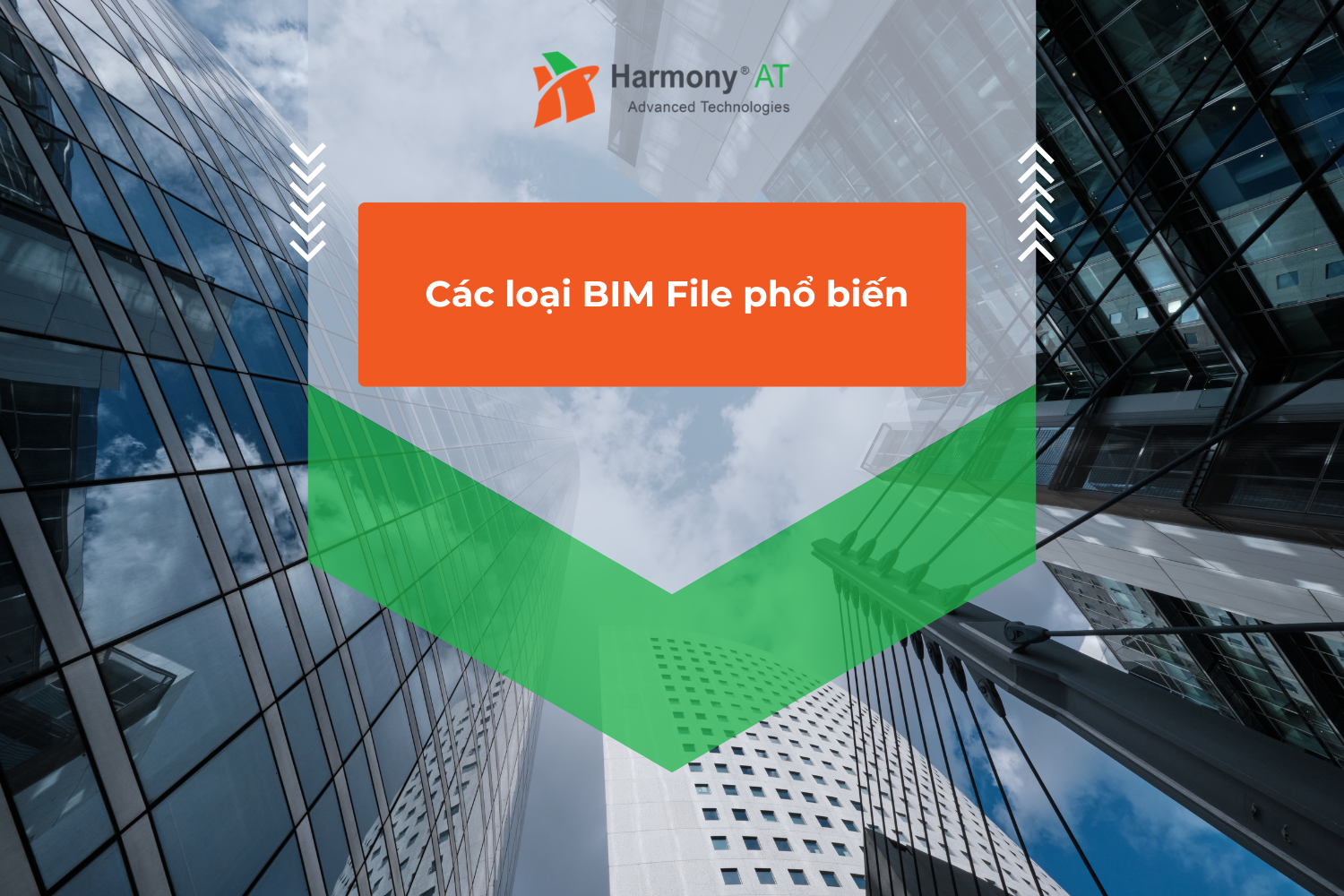 Các loại BIM File phổ biến và cách sử dụng hiệu quả